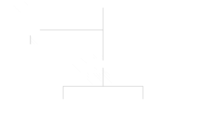 이사장-이사회-감사-사무국-전시팀,경영지원팀