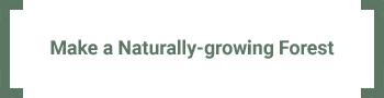 Make a Naturally-growing Forest